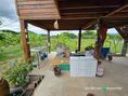 ขายบ้านสวนวิวเขา ต.เขาเพิ่ม อ.บ้านนา จ.นครนายก โฉนดครุฑแดงพร้อมโอน การเดินทางสะดวก เข้าซอยจากถนนบ้านนา-แก่งคอย 1.5 กม