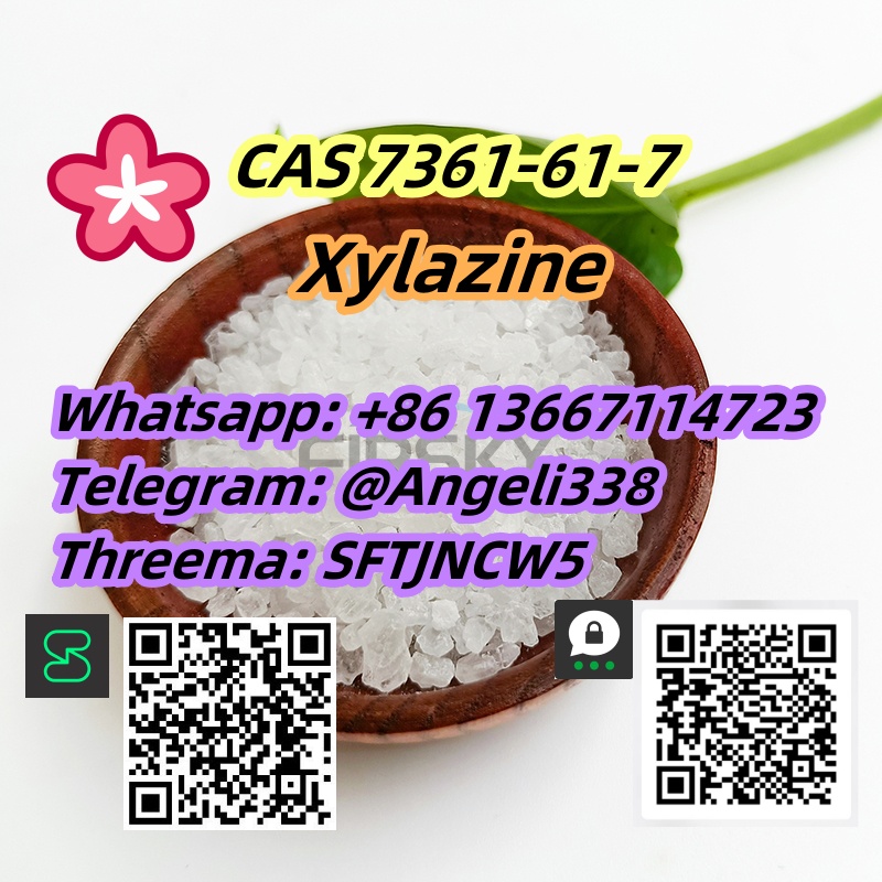 CAS 7361-61-7  Xylazine Whatsapp/signal/telegram +8613667114723 รูปที่ 3