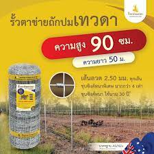 ruataewada รูปที่ 3