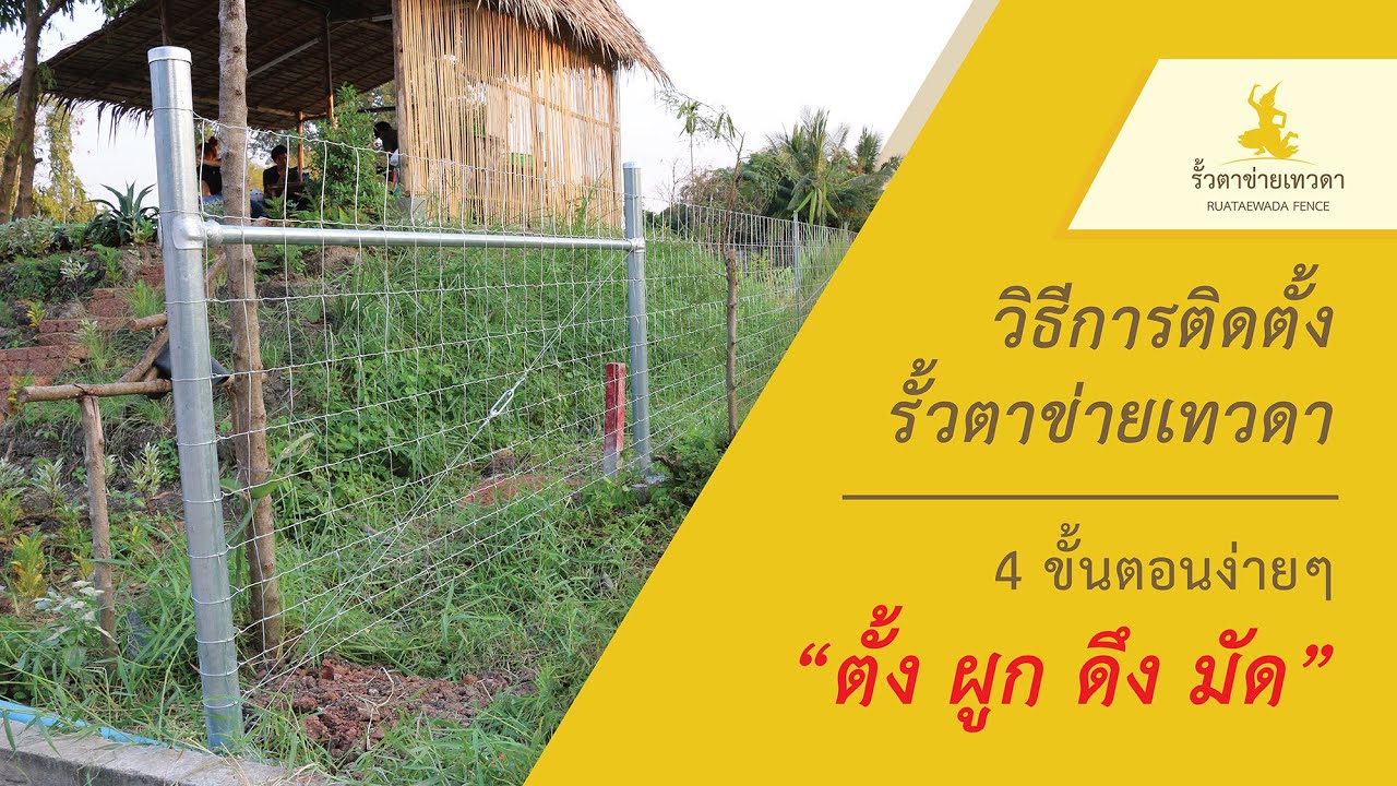 ruataewada รูปที่ 6