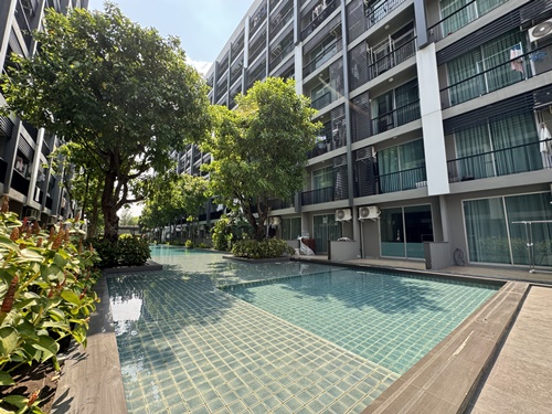  ขายด่วน 1ห้องนอน 35.5 ตร.ม. Pool Access เหมือนมีสระว่ายน้ำอยู่หลังห้อง คอนโด A SPACE ME สุขุมวิท 77 สไตล์รีสอร์ท   รูปที่ 1