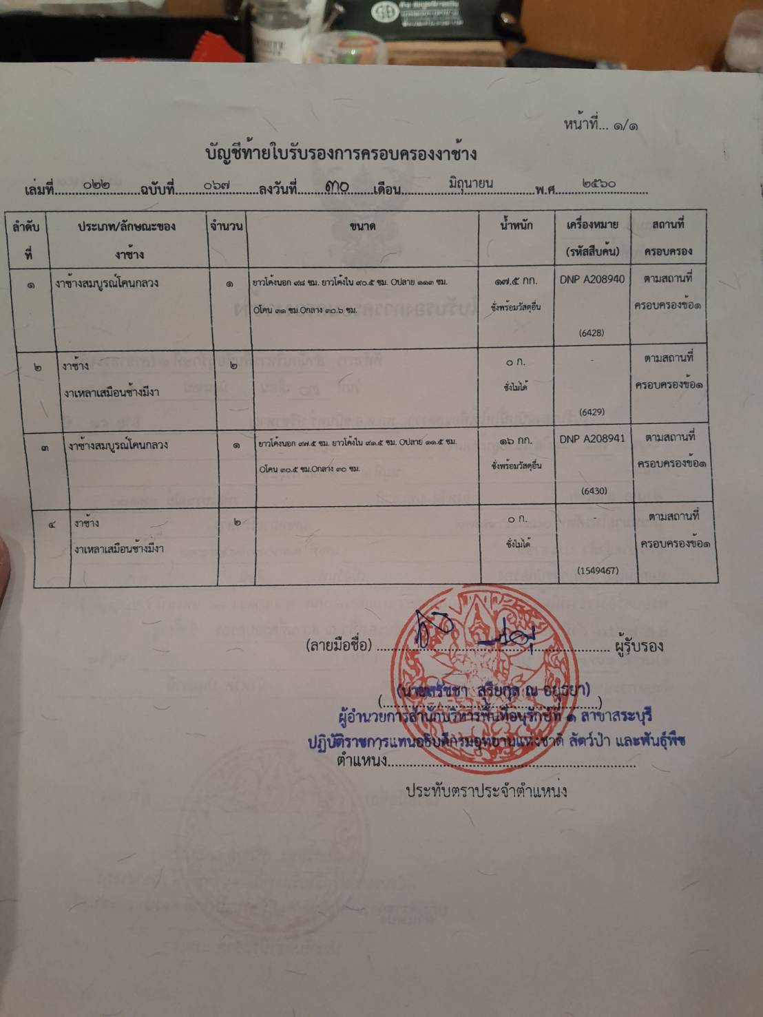 ขายงาช้าง ยาวประมาณ 98 ซม. หนักประมาณ 17 กก.  1 คู่ รูปที่ 2