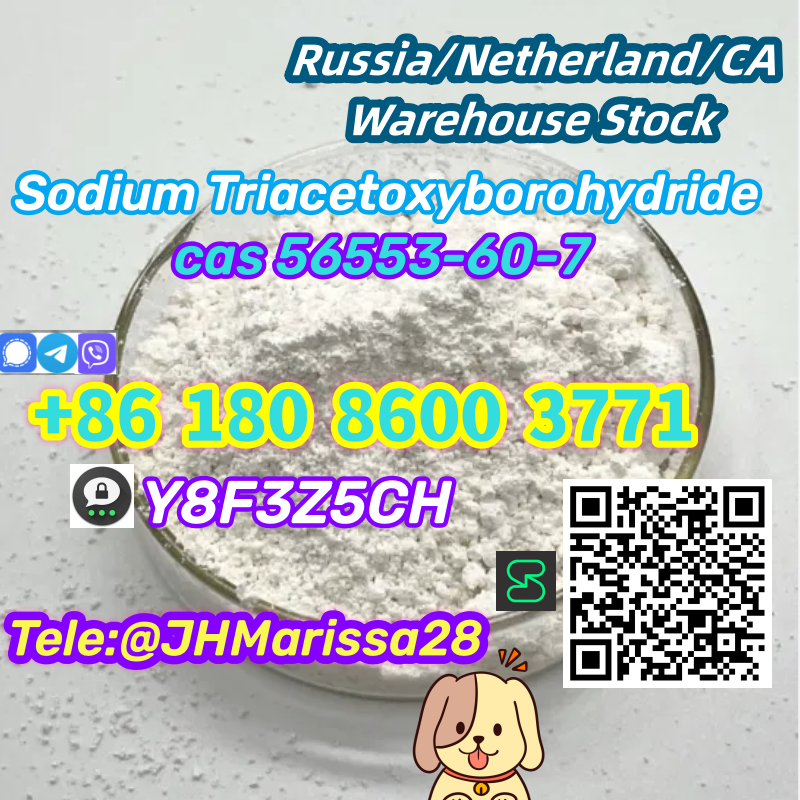 CAS 56553-60-7 Sodium Triacetoxyborohydride Threema: Y8F3Z5CH		 รูปที่ 1