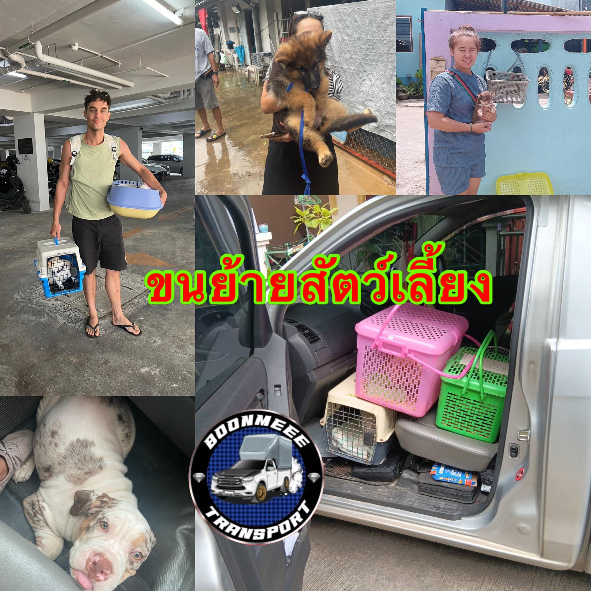 บริการขนส่งสินค้าและสิ่งของทุกชนิดทั่วไทย สะดวก รวดเร็ว ราคาถูก ย้ายบ้าน ย้ายหอ ย้ายคอนโด ขนย้ายสิ่งของ สัตว์เลี้ยง มอเตอร์ไซค์ ขนส่งสินค้าฯ รูปที่ 6