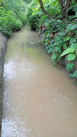 ที่ดินสวย บรรยายกาศดี วิวภูเขา โซนแม่ริมใต้              รูปที่ 1