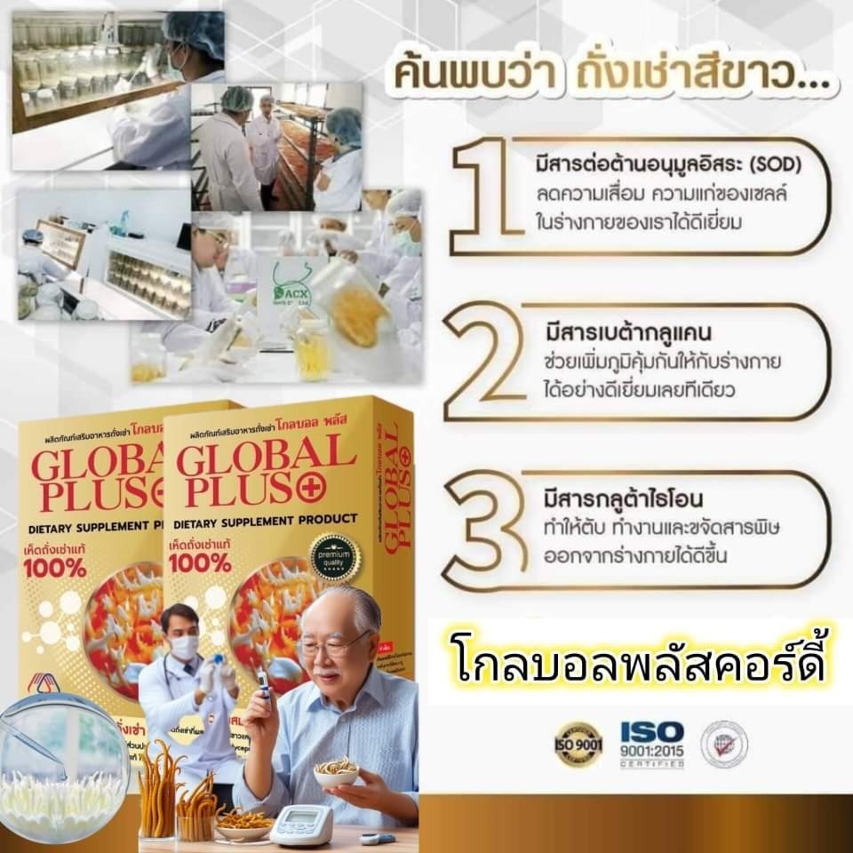 ถั่งเช่าโกลบอลพลัส รูปที่ 5