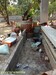 รูปย่อ งานปรับฮวงจุ้ย สร้างบ่อน้ำ จัดสวนขนาดเล็กหน้าบ้าน>>0889788928 รูปที่6