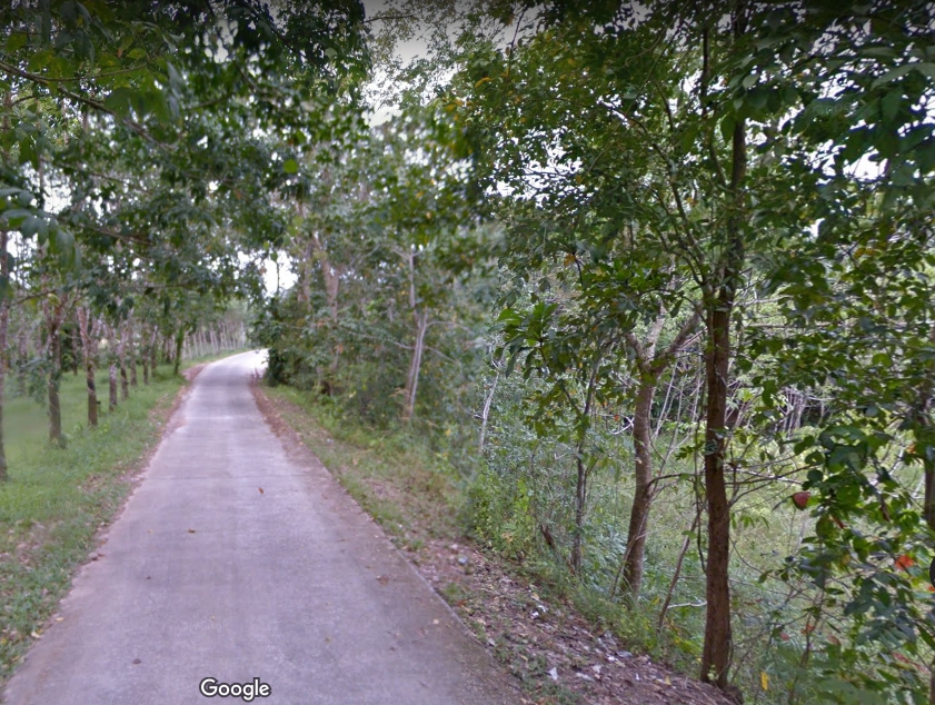 ขายที่ดินพร้อมสวนทุเรียน ติดถนนใหญ่. - เนื้อที่  5 - 1- 57 ไร่ ต.วังกระแจะ อ.เมือง จ. ตราด  (อนาคตเปิดถนน 4 เลน หน้าที่ดิน.) รูปที่ 3
