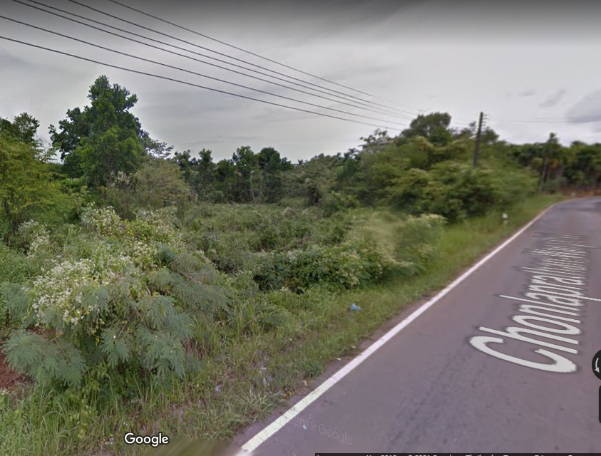 ขายที่ดินพร้อมสวนทุเรียน ติดถนนใหญ่. - เนื้อที่  5 - 1- 57 ไร่ ต.วังกระแจะ อ.เมือง จ. ตราด  (อนาคตเปิดถนน 4 เลน หน้าที่ดิน.) รูปที่ 5
