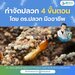 รูปย่อ กำจัดปลวก 4 ขั้นตอน โดย ดร.ปลวก มืออาชีพ รูปที่1