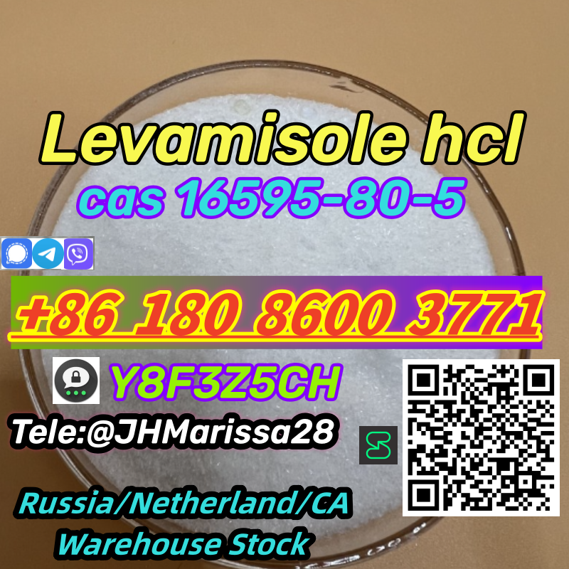 Hot Sale CAS 16595-80-5 Levamisole hydrochloride Threema: Y8F3Z5CH		 รูปที่ 1