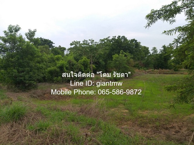 ที่ดิน ที่ดิน ต.บ้านเล่า อ.เมืองชัยภูมิ จ.ชัยภูมิ  16890300 บ. ใกล้กับ ห่างจากถนนทางหลวงหมายเลข 201 ประมาณ 2 กม. และตัวเมืองชัยภูมิ ประมาณ 7 กม. คุ่มค่า ชัยภูมิ    รูปที่ 1