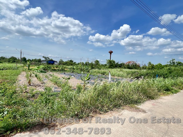 ขายที่ดิน แปลงจัดสรร สวัสดิการพนักงานไทยพาณิชย์ คลอง 11 ลำลูกกา จ.ปทุมธานี รูปที่ 1