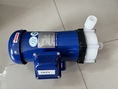 Magnetic Drive Pump (Thread Type)