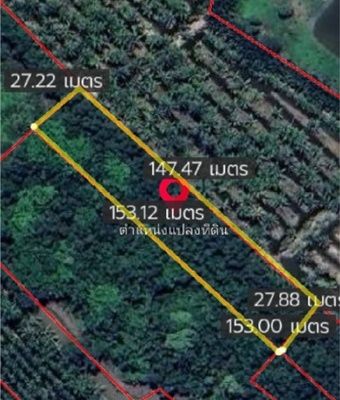 ขายที่ดินแปลงติดแม่น้ำบางปะกง (เกาะลัด) 42 ไร่ 3 งาน 40 ตร.ว. รูปที่ 1