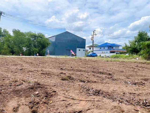 ขายที่ดินคลอง11 หนองเสือ ปทุมธานี น้ำไฟพร้อมหมด ติดถนนคอนกรีต 8 เมตร ขนาด 63 ตรว. รูปที่ 1