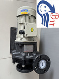 Magnetic Drive Pump (Flange Type)