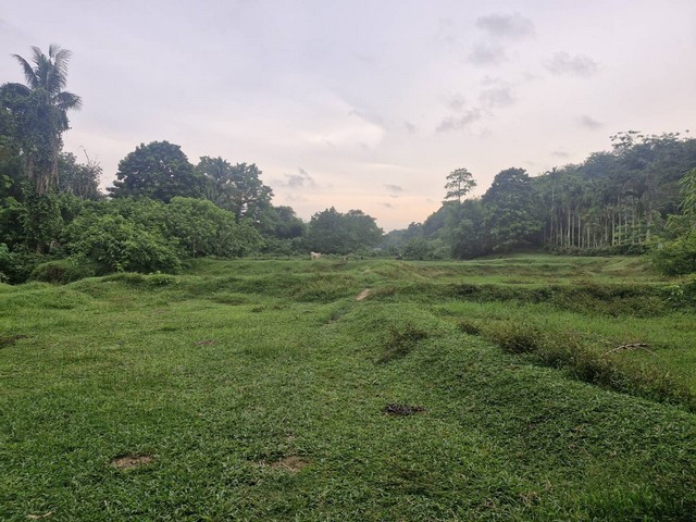 ขายที่ดิน บ้านลิพอน-ควนตาแท่น อำเภอถลาง จังหวัดภูเก็ต รูปที่ 1