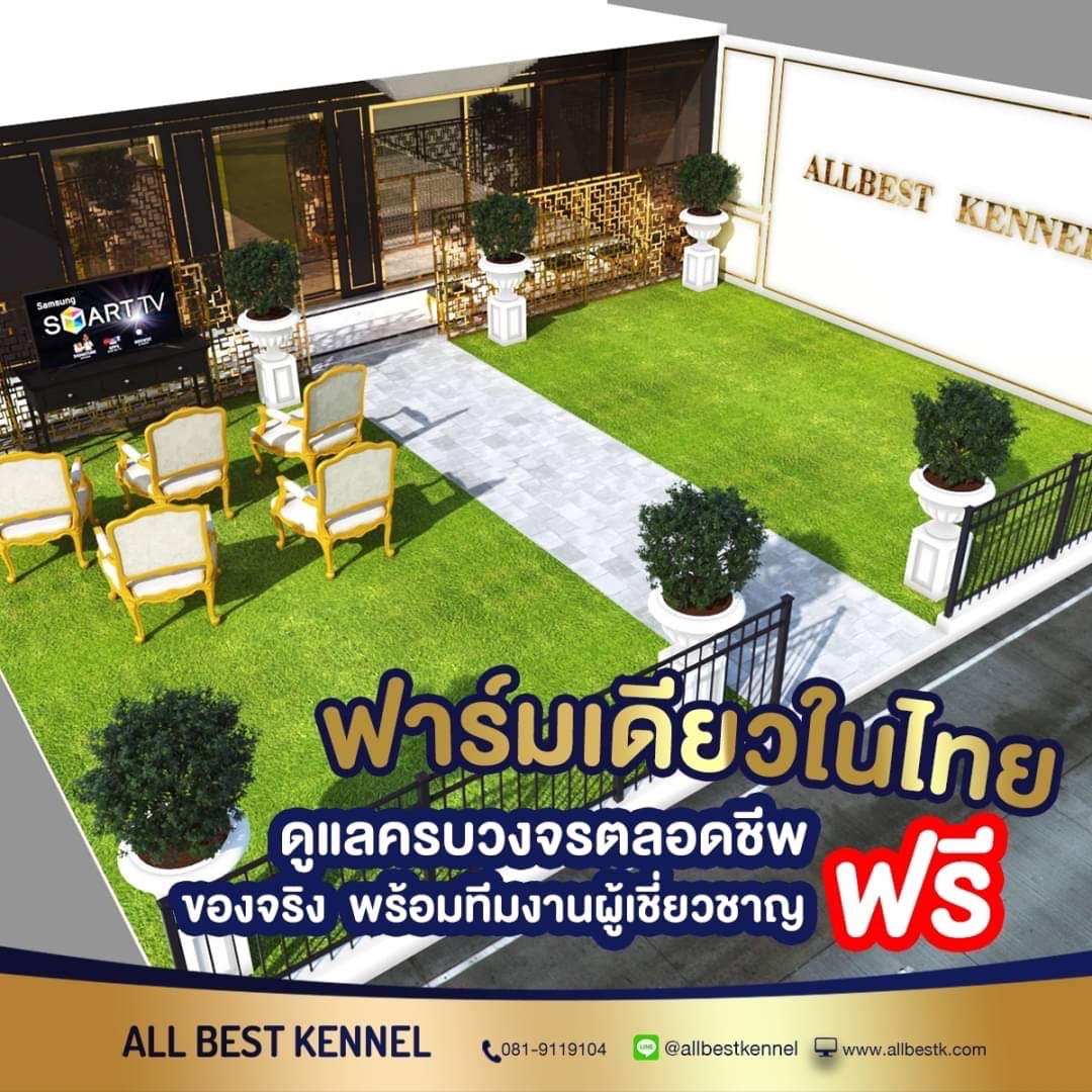 ฟาร์มไซบีเรียนที่มีไซบีเรียนเกรดดีพร้อมรับหลายคอก รูปที่ 2