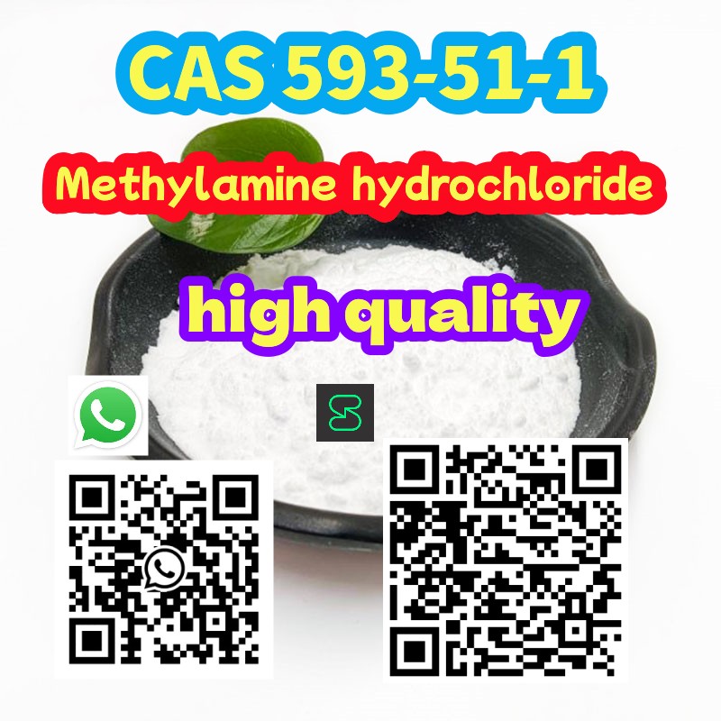 CAS 593-51-1 Methylamine hydrochloride  รูปที่ 1