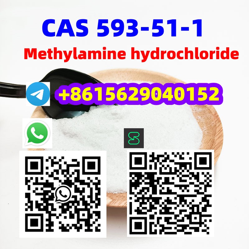 CAS 593-51-1 Methylamine hydrochloride  รูปที่ 5