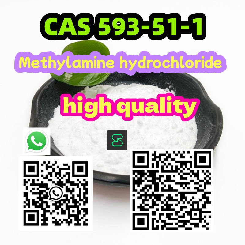 CAS 593-51-1 Methylamine hydrochloride  รูปที่ 3