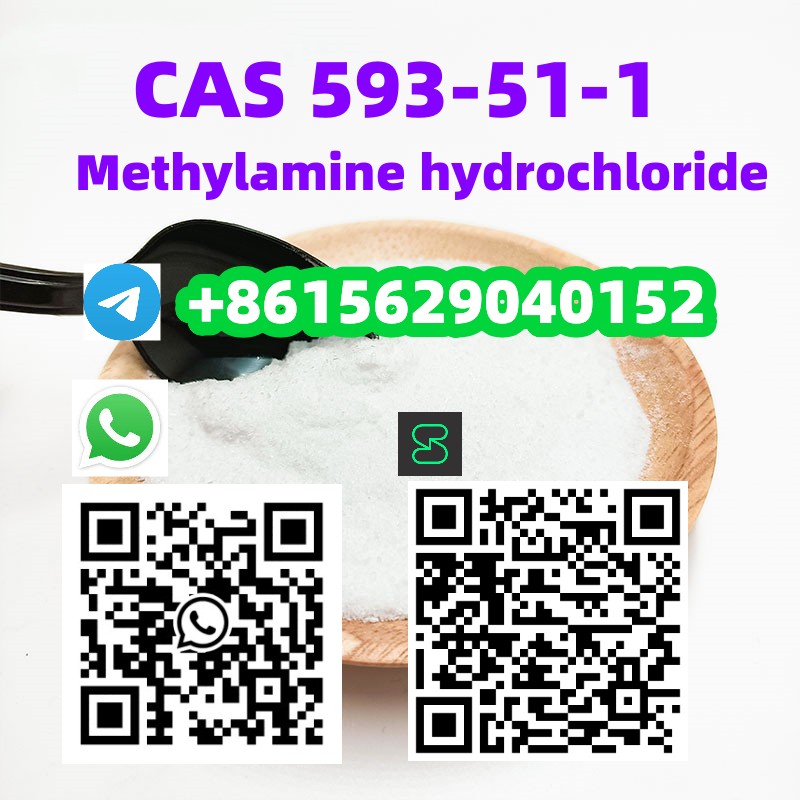 CAS 593-51-1 Methylamine hydrochloride  รูปที่ 4