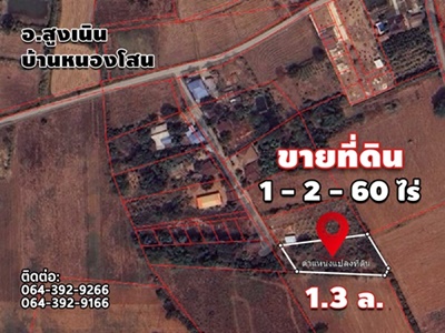  ขายที่ดิน 1-2-60 ไร่ ใกล้เขตอุตสาหกรรมนวนคร โคราช   รูปที่ 1