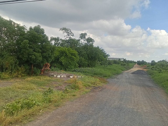 ขายด่วน ที่ดินสวยทำเลทอง คลอง4 อำเภอคลองหลวง จังหวัดปทุมธานี รูปที่ 1