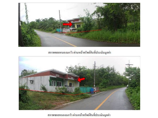 ขายบ้านเดี่ยวมือสอง จังหวัดตรัง ( บ้านเดี่ยว 2 หลัง ) รูปที่ 1