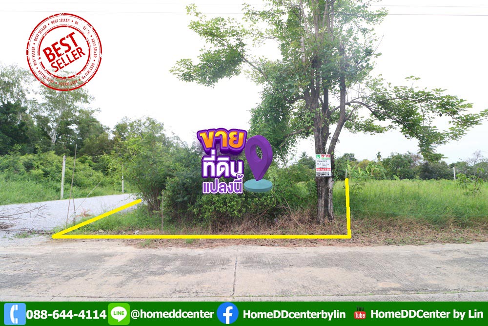 ขายที่ดิน 51 ตร.ว. ถ.บรมราชชนนี สามพราน นครชัยศรี นครปฐม ใกล้ พิพิธภัณฑ์หุ่นขี้ผึ้งไทย ใกล้ เซ็นทรัล ศาลายา ม.มหิดล พุทธมณฑลสาย 5 เพชรเกษม รูปที่ 1