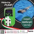 Dosing pump ปั๊มเติมสารคลอรีนอัตโนมัติ จากอิตาลี