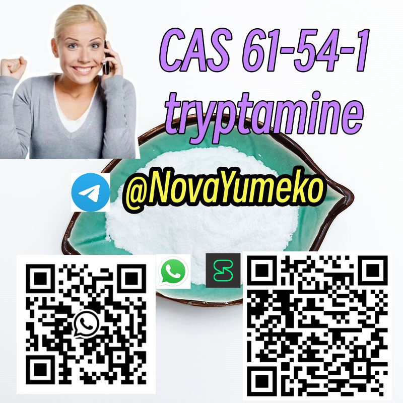 Warehouse Stock CAS 61-54-1 tryptamine telegram8615629040152 รูปที่ 5