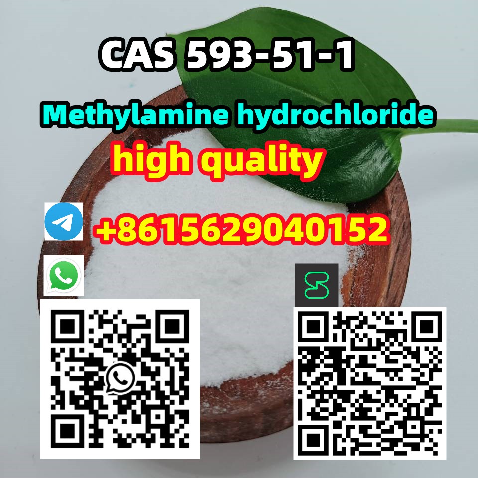 CAS 593-51-1 Methylamine hydrochloride รูปที่ 3