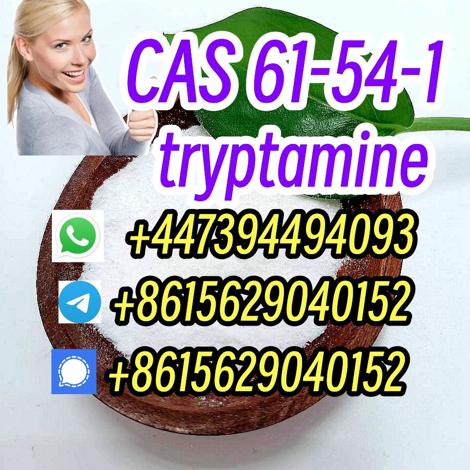 Warehouse Stock CAS 61-54-1 tryptamine telegram8615629040152 รูปที่ 1