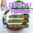 Warehouse Stock CAS 61-54-1 tryptamine telegram8615629040152