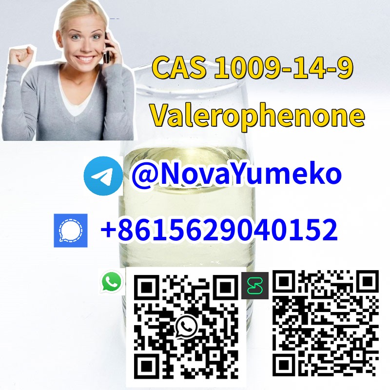 CAS 1009-14-9 Valerophenone from China Manufacturer รูปที่ 6