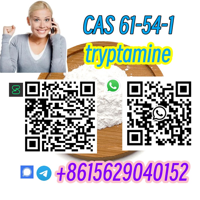 Warehouse Stock CAS 61-54-1 tryptamine telegram8615629040152 รูปที่ 7