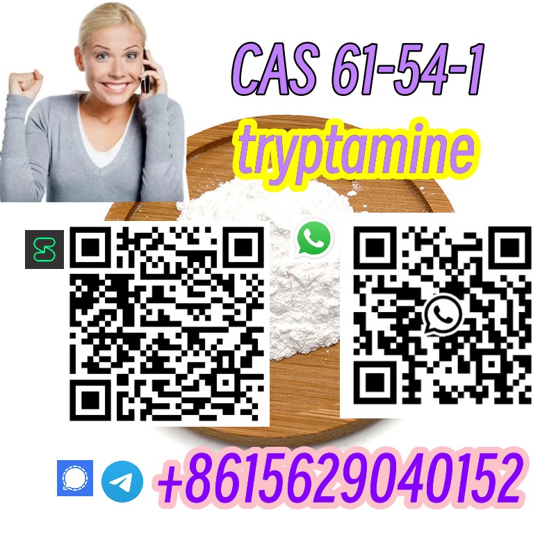Warehouse Stock CAS 61-54-1 tryptamine telegram8615629040152 รูปที่ 6