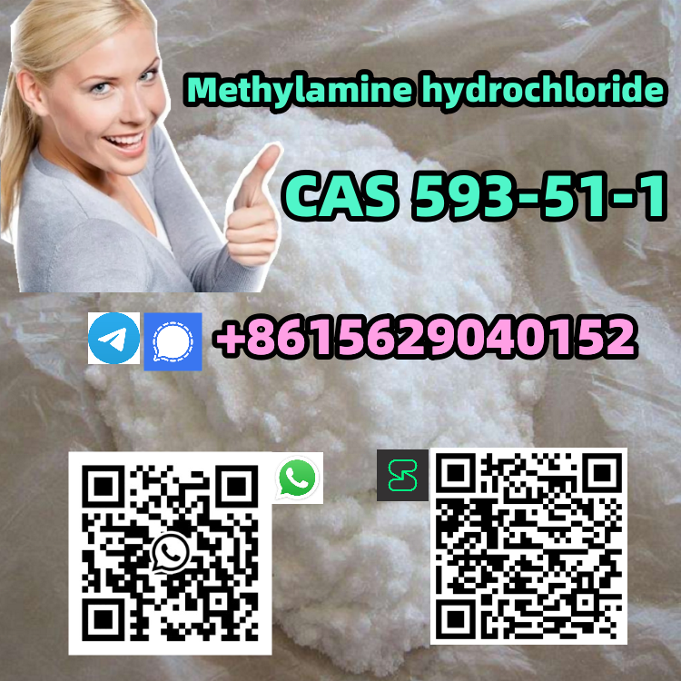 CAS 593-51-1 Methylamine hydrochloride รูปที่ 1