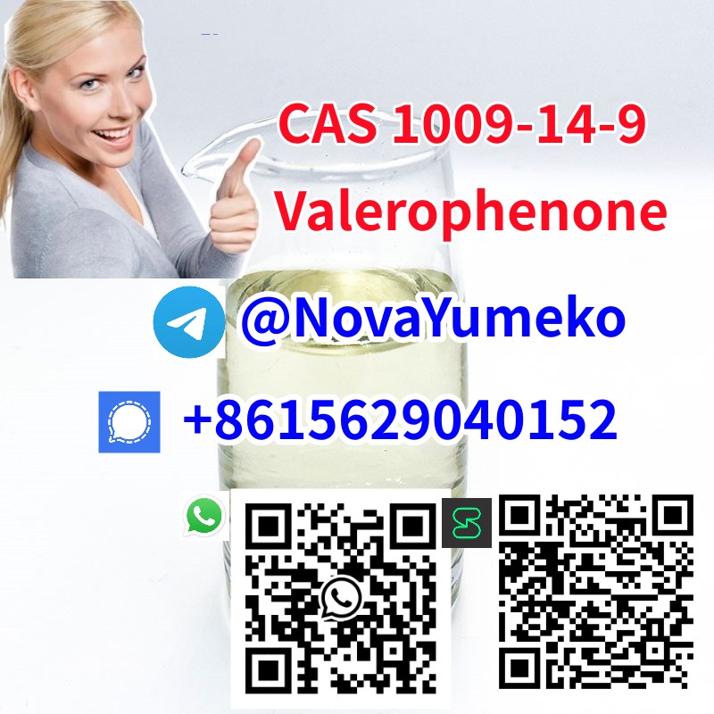 CAS 1009-14-9 Valerophenone from China Manufacturer รูปที่ 7