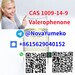 รูปย่อ CAS 1009-14-9 Valerophenone from China Manufacturer รูปที่6