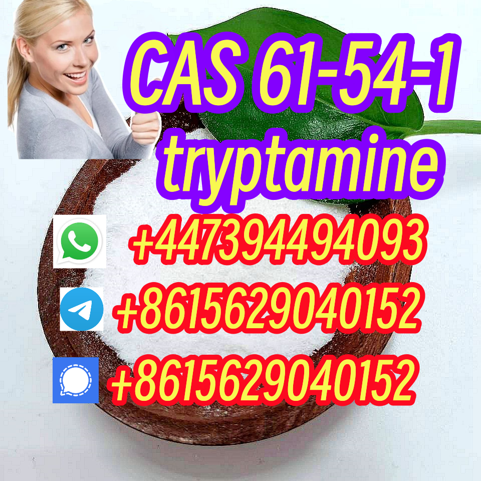 Warehouse Stock CAS 61-54-1 tryptamine telegram8615629040152 รูปที่ 3