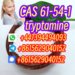 รูปย่อ Warehouse Stock CAS 61-54-1 tryptamine telegram8615629040152 รูปที่2