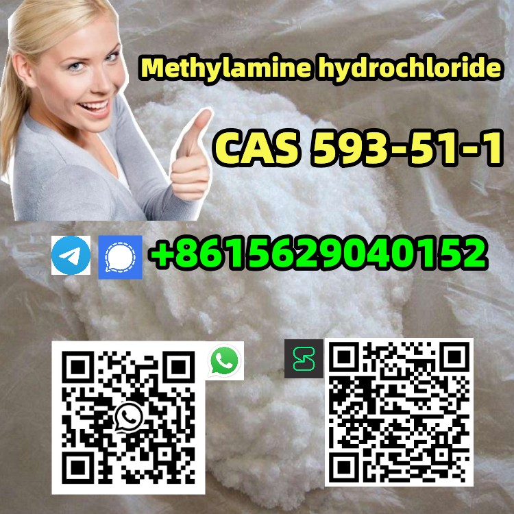 CAS 593-51-1 Methylamine hydrochloride รูปที่ 4