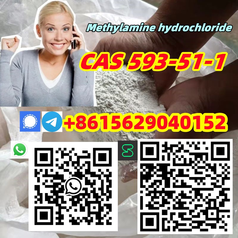 CAS 593-51-1 Methylamine hydrochloride รูปที่ 7
