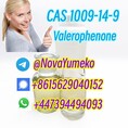 CAS 1009-14-9 Valerophenone from China Manufacturer