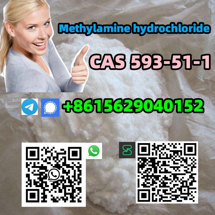 CAS 593-51-1 Methylamine hydrochloride รูปที่ 5