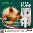 Dosing pump ปั๊มโดสวิตามิน ปั๊มเติมคลอรีน ยี่ห้อ EMEC 