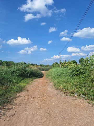 ขายด่วนทำเลทองที่ดิน 200 ตร.ว.   ใกล้วัดแสงสรรค์  คลองสอง ปทุมธานี   ZW391 รูปที่ 1